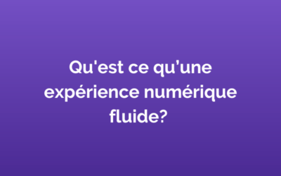 Qu’est ce qu’une expérience numérique fluide ?